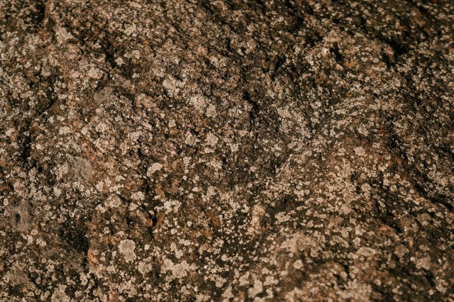 pexels-photo-5876460.jpeg
