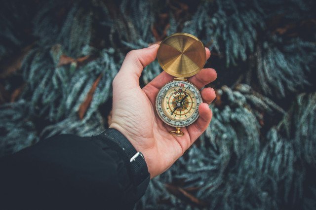 pexels-valentinantonucci-841286.jpg
